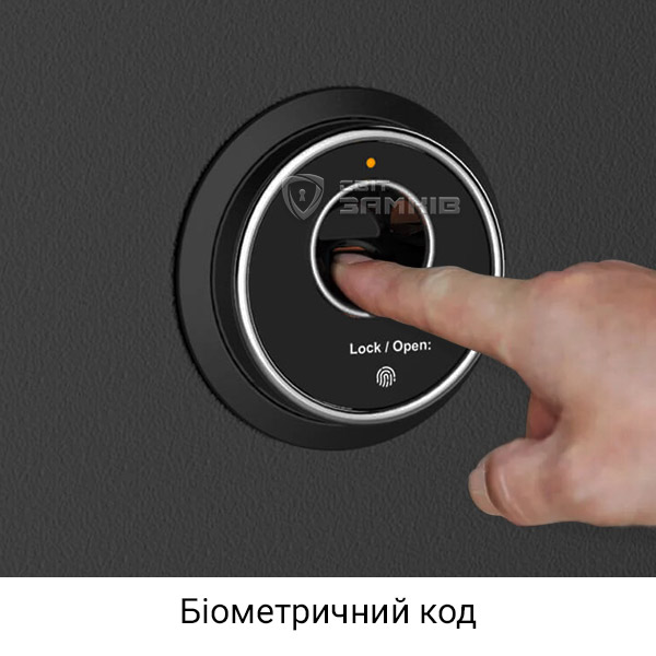 біометричний