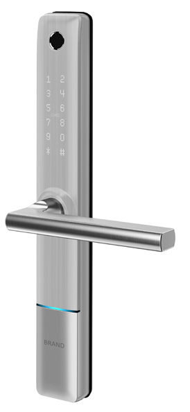 PES Bigl silver 6.jpg