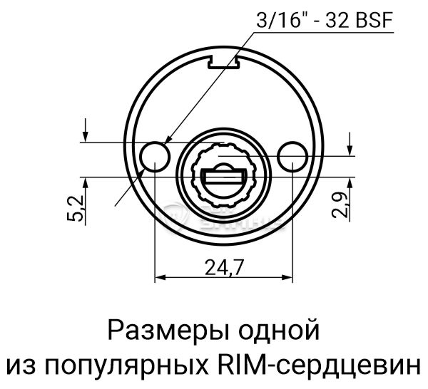 RIM2.jpg