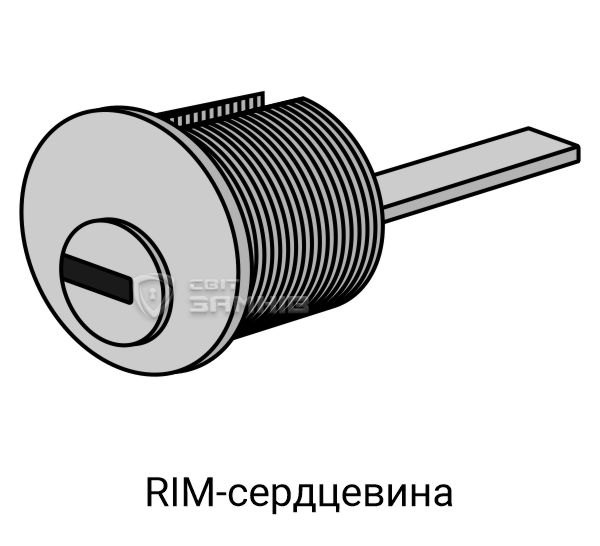 RIM1.jpg RIM1.jpg