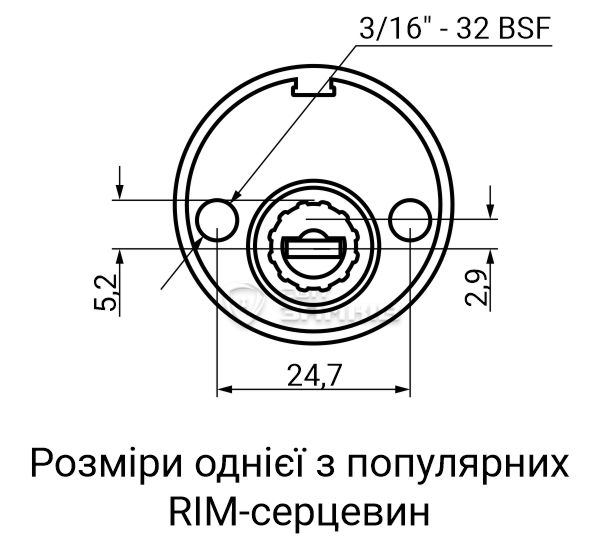 RIM2.jpg RIM2.jpg