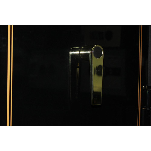 Сейф оружейный GRIFFON G.160.GLOSS GOLD.E - Фото №8