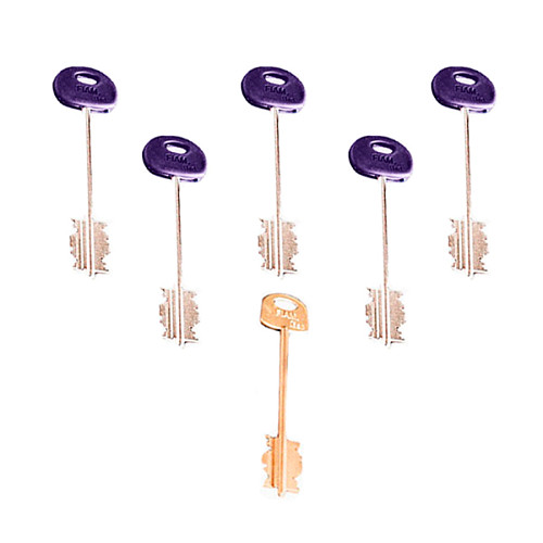 Механизм замка ISEO 618DP-3 двухсистемный (BS66*85мм) - Фото №2