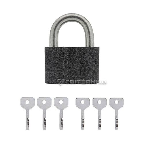 Замок навісний ГОЛЕОЛ ЗВС-2 (52 мм, 6 ключів) - Фото №5