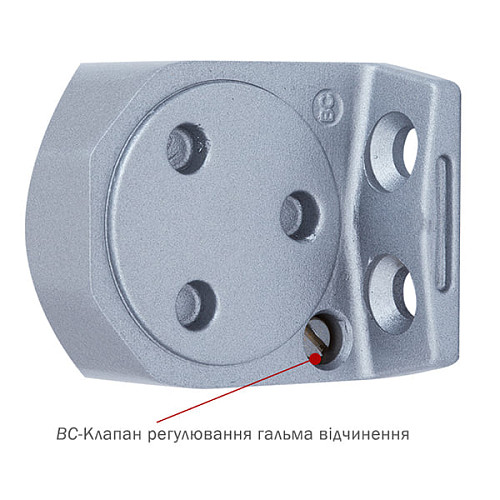 Доводчик RYOBI D-2005V BC STD до 100кг FIRE Серый - Фото №7